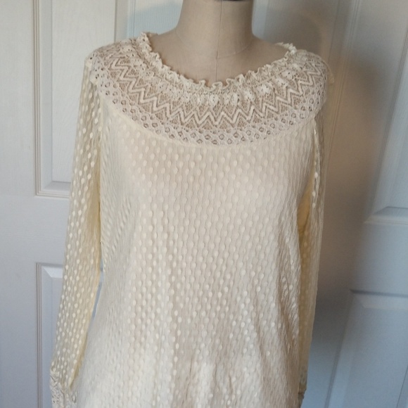 BELLE BIRD Cream Lace Blouse - Picture 1 of 5